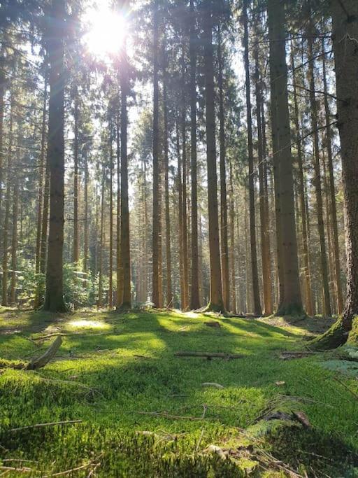 Gite N°4, En Pleine Nature, Frontalier Signy-le-Petit Exteriér fotografie