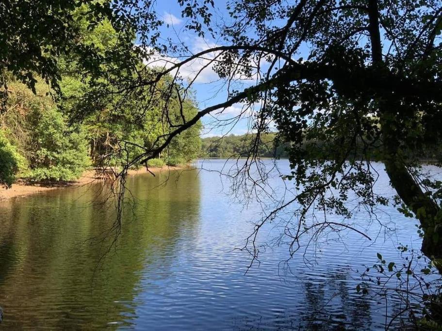 Gite N°4, En Pleine Nature, Frontalier Signy-le-Petit Exteriér fotografie